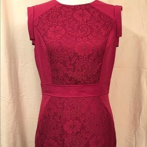 Adrianna Papell Pink Lace Overlay Dress